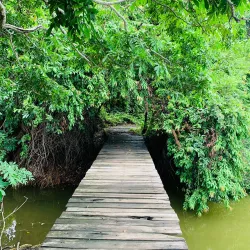 Charco Verde Nature Reserve - Rivas