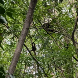 Charco Verde Nature Reserve - Rivas
