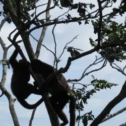 Laguna de Apoyo - Rivas