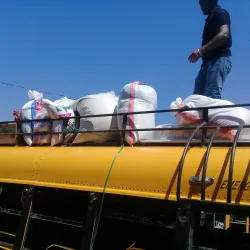 Mercado Municipal de Rivas - Rivas