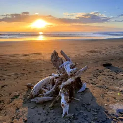 Playa Hermosa - Rivas
