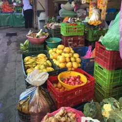 San Juan del Sur Farmers Market - San Juan del Sur
