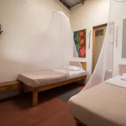 Agricultural Tours - Sebaco