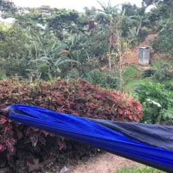 Local Coffee Farms - Sebaco