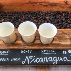 Local Coffee Farms - Sebaco