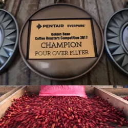 Local Coffee Farms - Sebaco