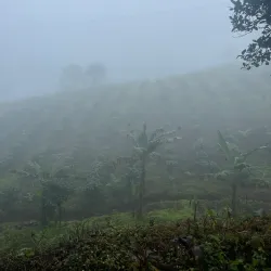 Nearby Natural Reserves - Sebaco