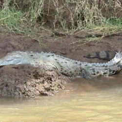 Rural Village Tours - Sebaco