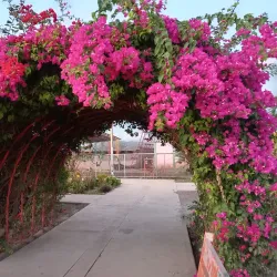 Sebaco Central Park - Sebaco