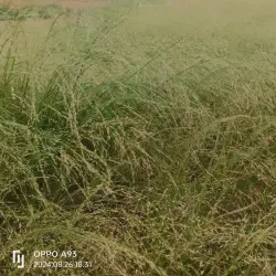 Agadez Museum (Musée d'Agadez) - Agadez