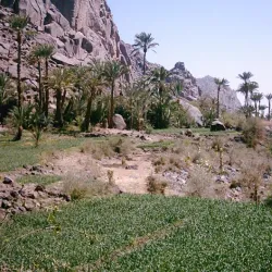 Air Mountains (Montagnes de l'Aïr) - Agadez
