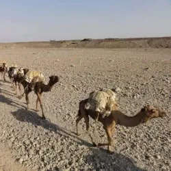 Air Mountains (Montagnes de l'Aïr) - Agadez