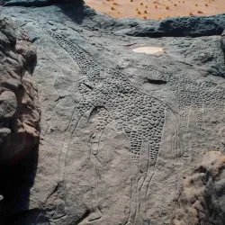 Air Mountains (Montagnes de l'Aïr) - Agadez