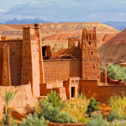 Camel Trekking Tours - Agadez