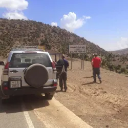 Camel Trekking Tours - Agadez