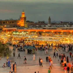 Camel Trekking Tours - Agadez