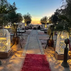 Camel Trekking Tours - Agadez