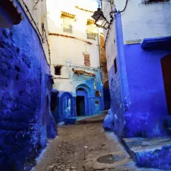 Camel Trekking Tours - Agadez