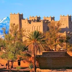 Camel Trekking Tours - Agadez