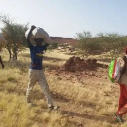 Tchirozerine Oasis - Agadez