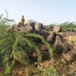 Tchirozerine Oasis - Agadez