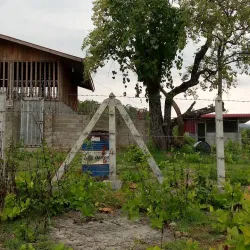 Tchirozerine Oasis - Agadez