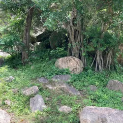 Ancient Rock Art Sites (near Bilma) - Bilma