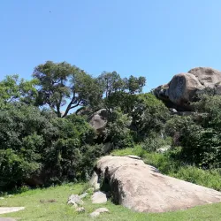 Ancient Rock Art Sites (near Bilma) - Bilma