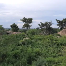 Ancient Rock Art Sites (near Bilma) - Bilma