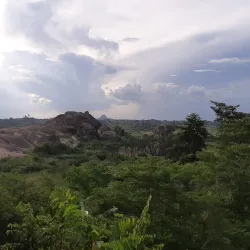 Ancient Rock Art Sites (near Bilma) - Bilma