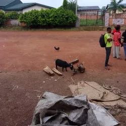Abakaliki Rice Mill - Abakaliki
