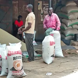 Abakaliki Rice Mill - Abakaliki