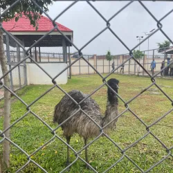 Asaba Riverfront Park - Asaba