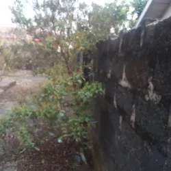 Kwale Game Reserve - Asaba