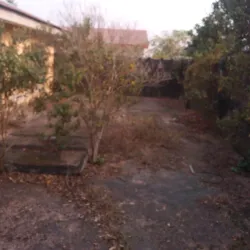 Kwale Game Reserve - Asaba