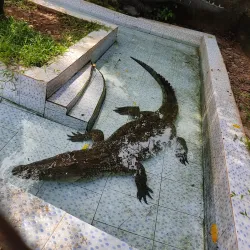 Benin City Zoo - Benin