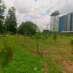 Edo Museum of West African Art - Benin