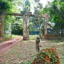 Okomu National Park - Benin