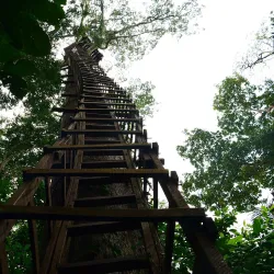 Okomu National Park - Benin