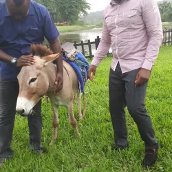 Agodi Gardens - Ibadan