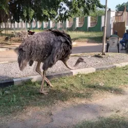 Oyo National Park - Ibadan