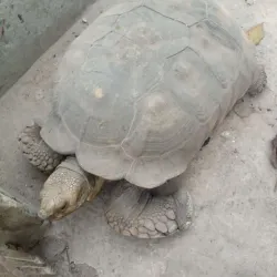 Oyo National Park - Ibadan