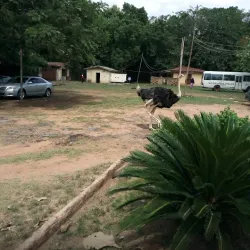 Oyo National Park - Ibadan