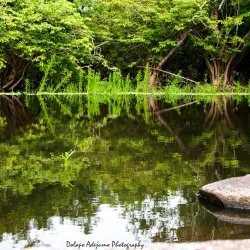 Oyo National Park - Ibadan