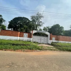 Ife Sacred Grove - Ife