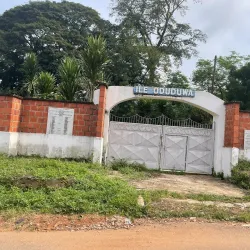 Ife Sacred Grove - Ife