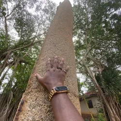 Opa Oranmiyan (Oranmiyan Staff) - Ife