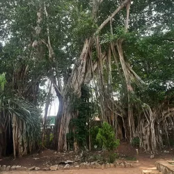 Opa Oranmiyan (Oranmiyan Staff) - Ife