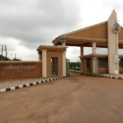 Iwo Cultural Festival - Iwo