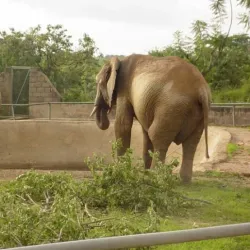 Jos Wildlife Park - Jos